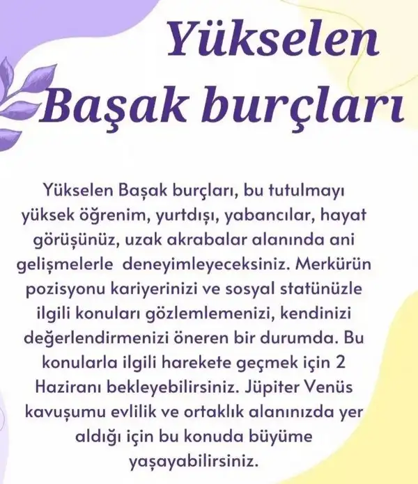 boğa9 (7).webp