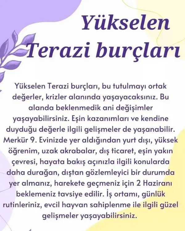 boğa9 (8).webp