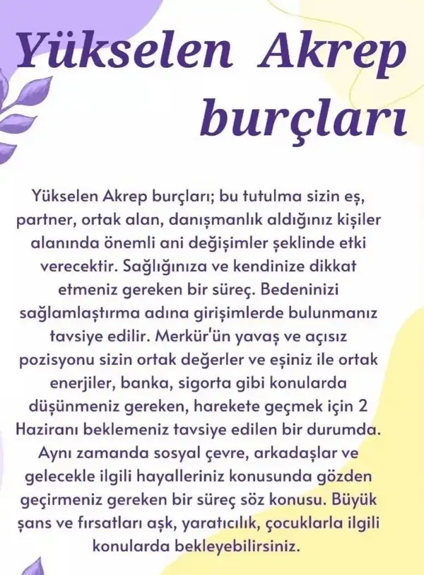 boğa9 (9).webp