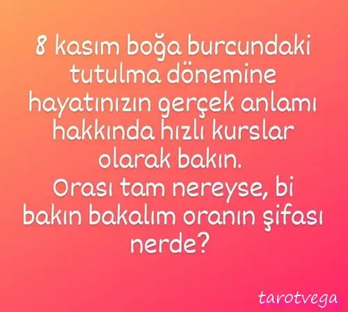 boğa9.webp