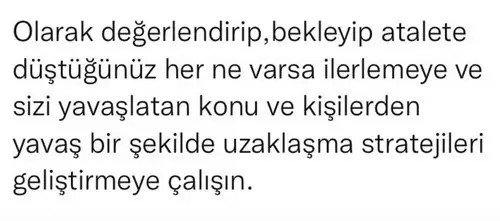 boğa98 (2).webp