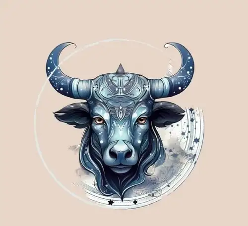 boğaa (1).webp