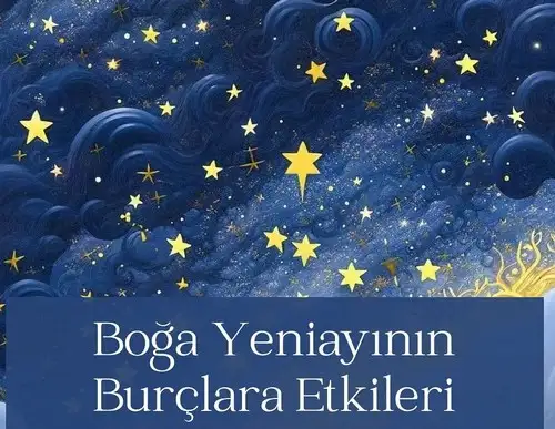 boğaa (4).webp