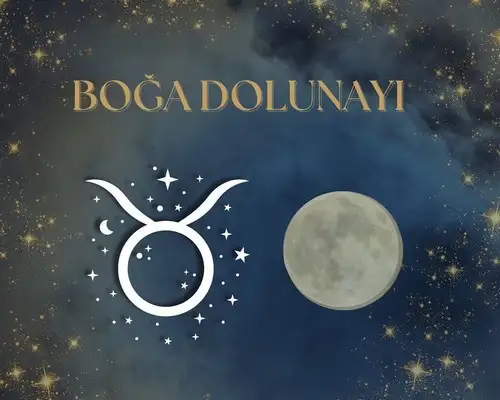 boğğ.webp