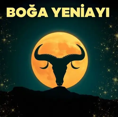 boğğ.webp