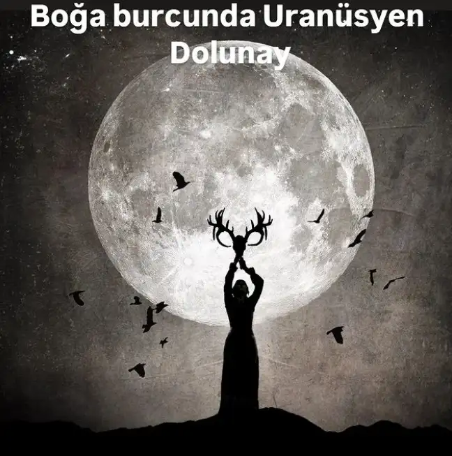 boğğğadolunay (2).webp