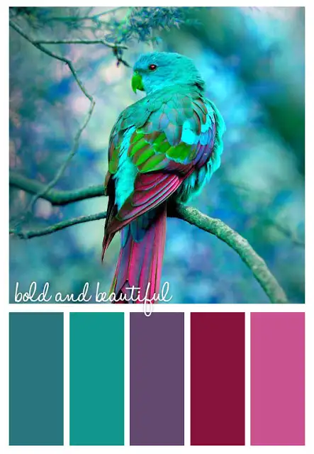 bold_and_beautiful.webp