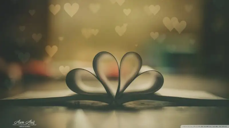 book_of_love_retro-wallpaper-1024x576.webp