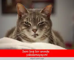 BOŞ BİR ANINDA YAKALAMAYAYIM.webp