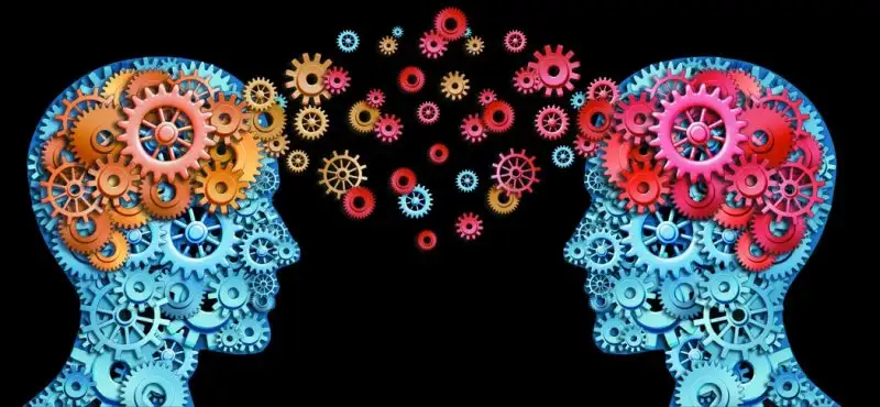 Brain-Drain-1050x486-00-45-01.webp