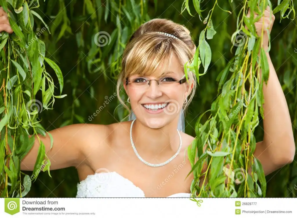 bride-glasses-eyeglasses-26828777.webp