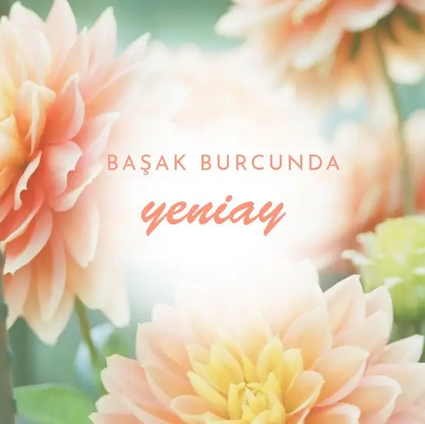 bşk.webp