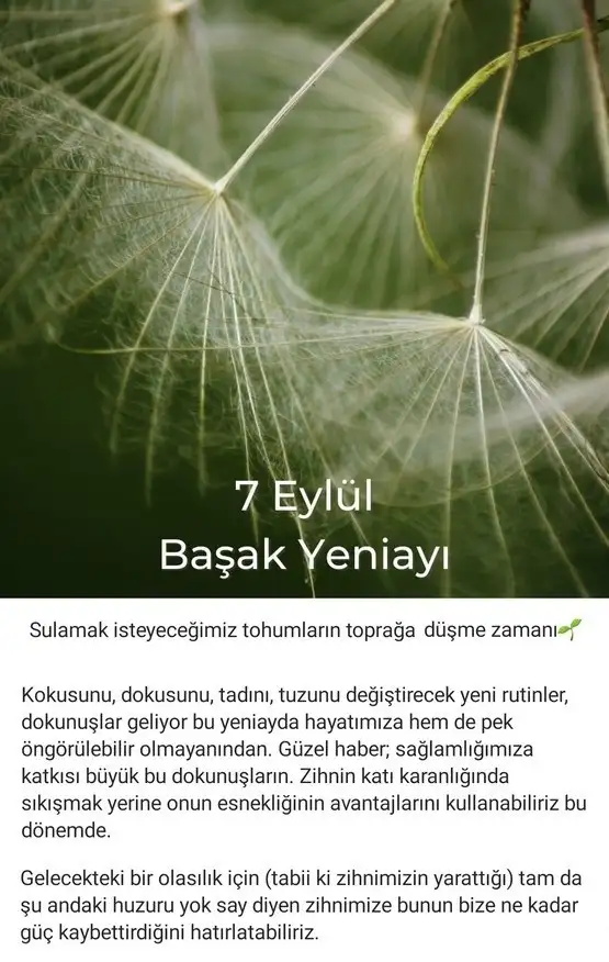 bşk1 (1).webp