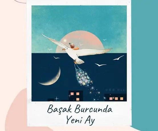 bşkk (1).webp