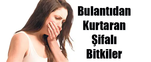 bulanti_icin_bitkisel_cozum.webp