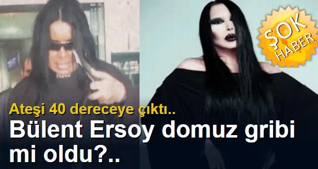 bulent_ersoy_domuz_Gribi.webp