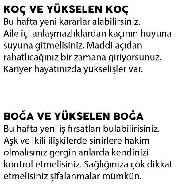 burç1 (2).webp