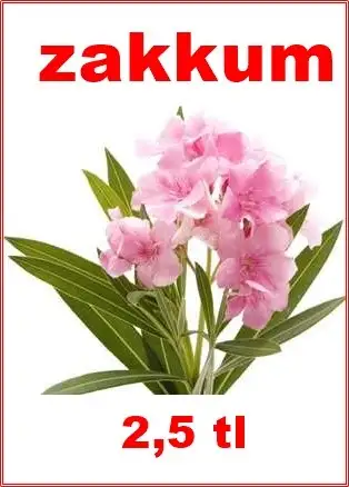 BURDA TUTTU BU İŞ.webp