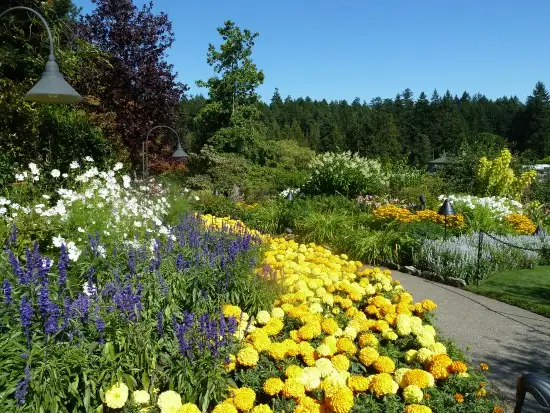 butchart_gardens_national_historic_site_of_canada_5.webp