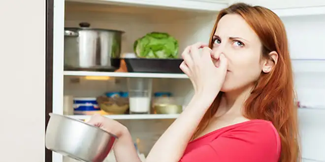 Elektrik Kesilince Buzdolabında Bozulan Gıdaların Kokusu Nasıl