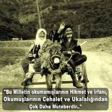 c.webp