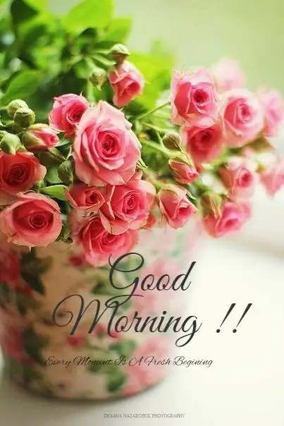 c3df3648c6917ecc9f17e7a4a950f354.webp