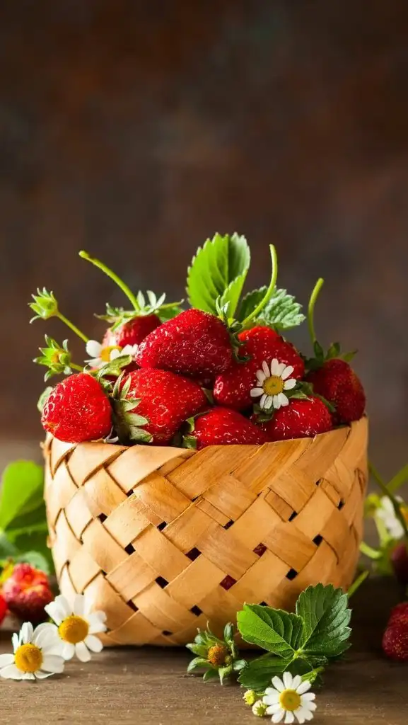 c3f2affc5e6678e0ad3c3f881d74aed1.webp