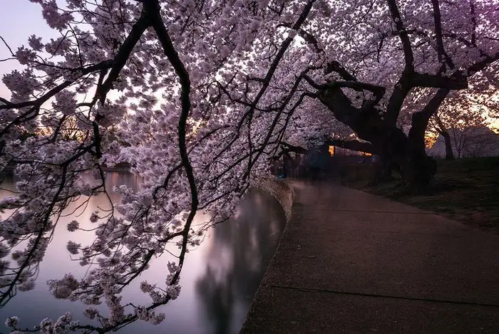 c4c5eb63fe4a48a79488942959b98fee.jpg.700x0_q85_autocrop_crop-smart_upscale.webp