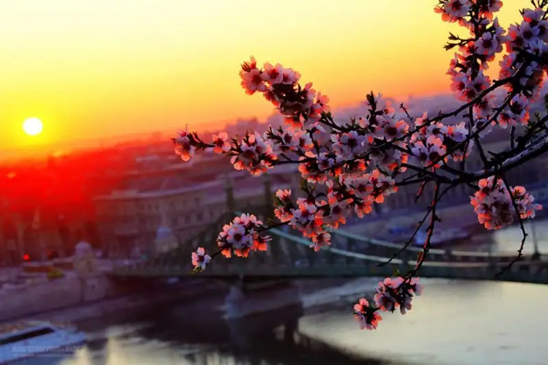 c66d80d3cda549cfb54b1e741c43bc63.jpg.1000x0_q85_autocrop_crop-smart_upscale.webp