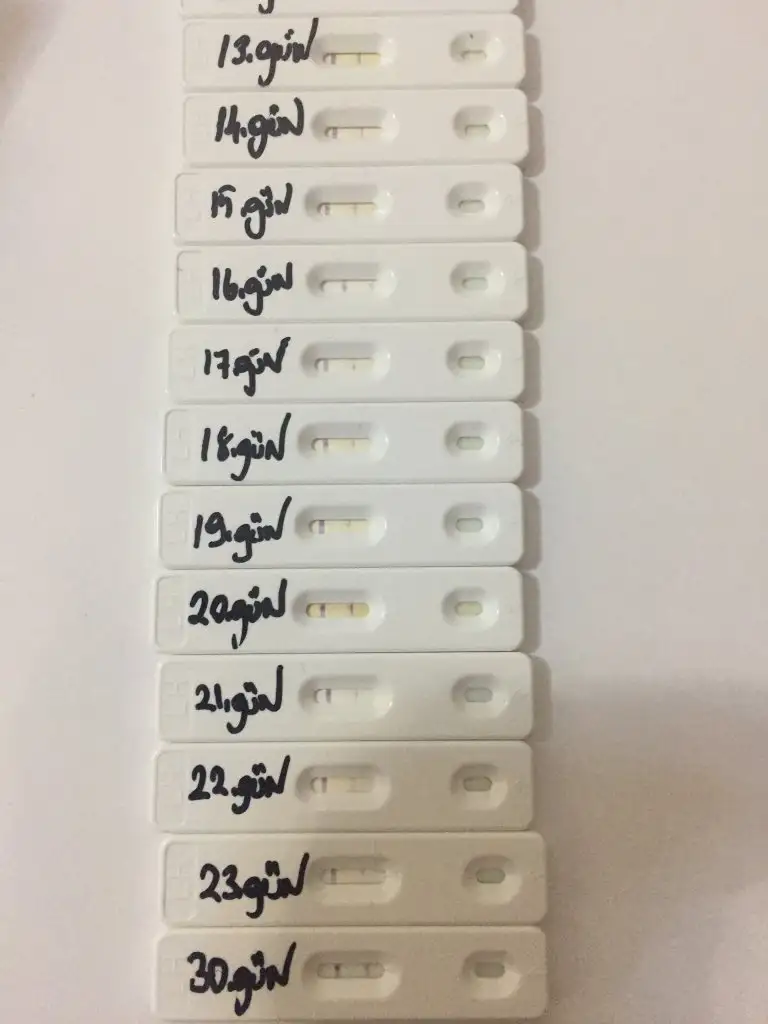C6E9B92F-F91E-48CA-BA4A-47C36C64FD3F.webp