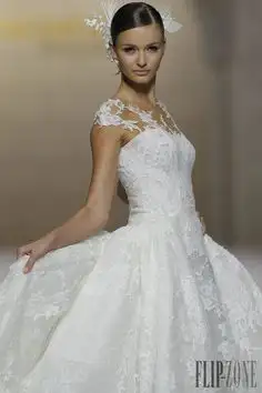 c72b01bb9d407a38530cc3f2a171267f.webp