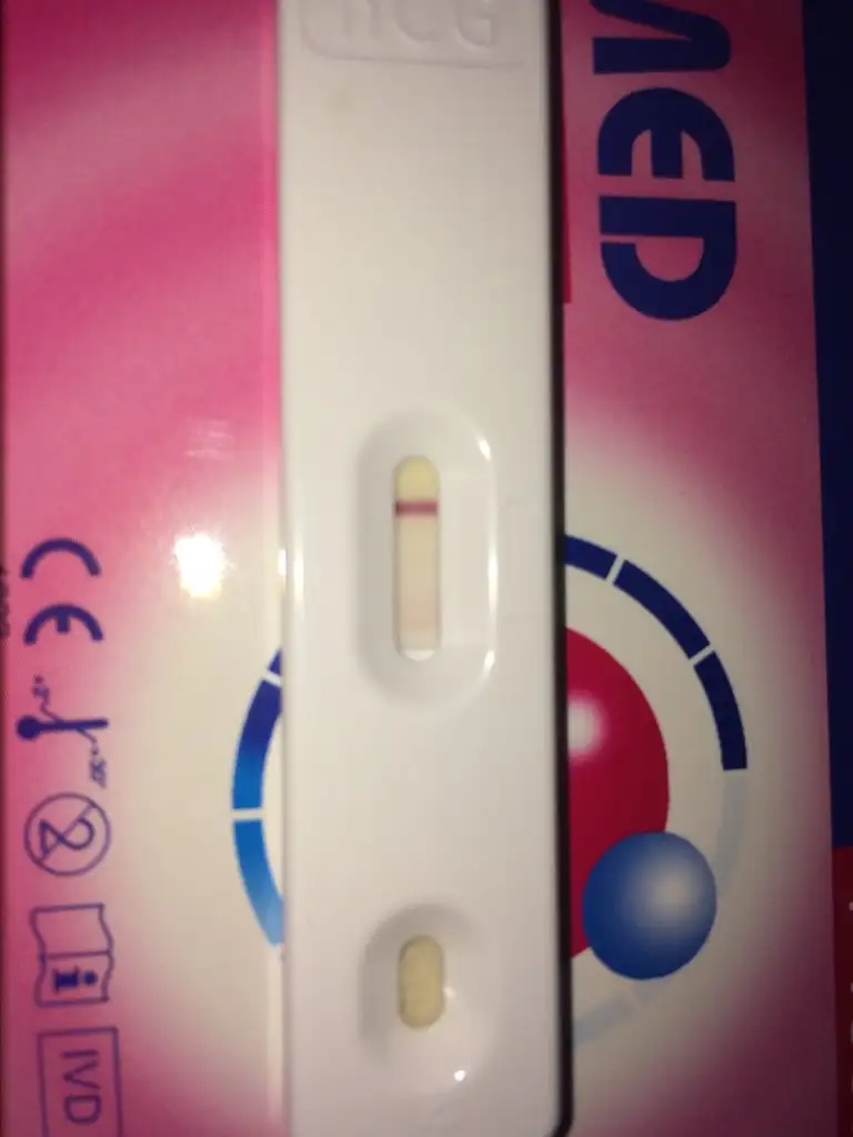 C82DDA14-1362-468B-8177-3ED0CE4136AB.webp
