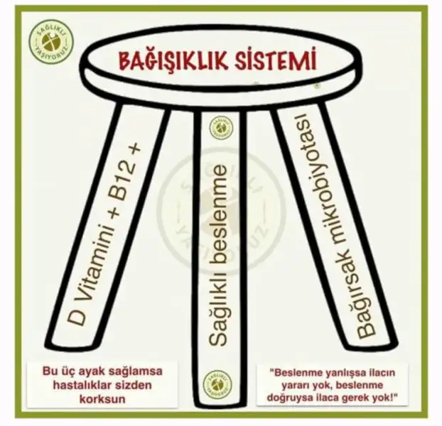 C8FF4AC0-33A8-47AC-B5CA-B4E901DE5451.webp