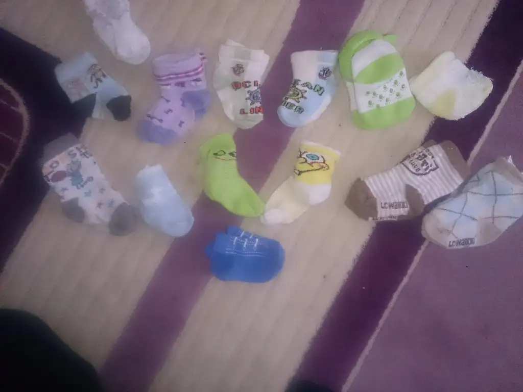 C__Data_Users_DefApps_AppData_INTERNETEXPLORER_Temp_Saved Images_DSC_1101.webp