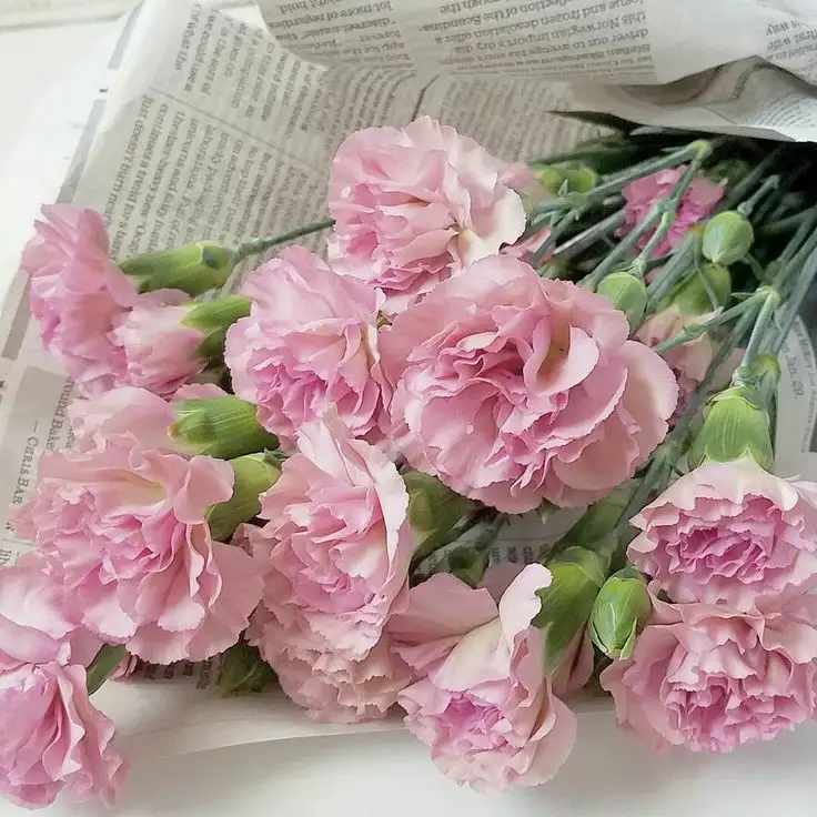 ca1deac58919c1b4cb36c0eb18118a77.webp