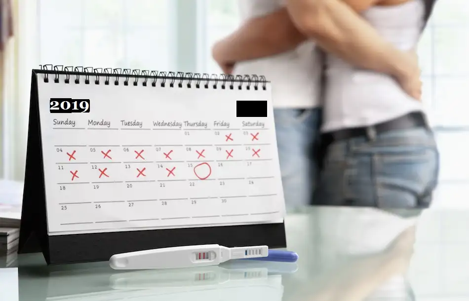 Calendar.webp
