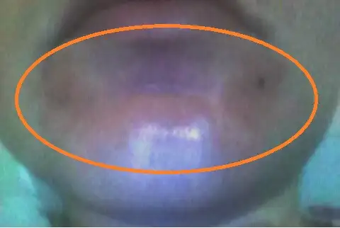 CAM00088 (2).webp