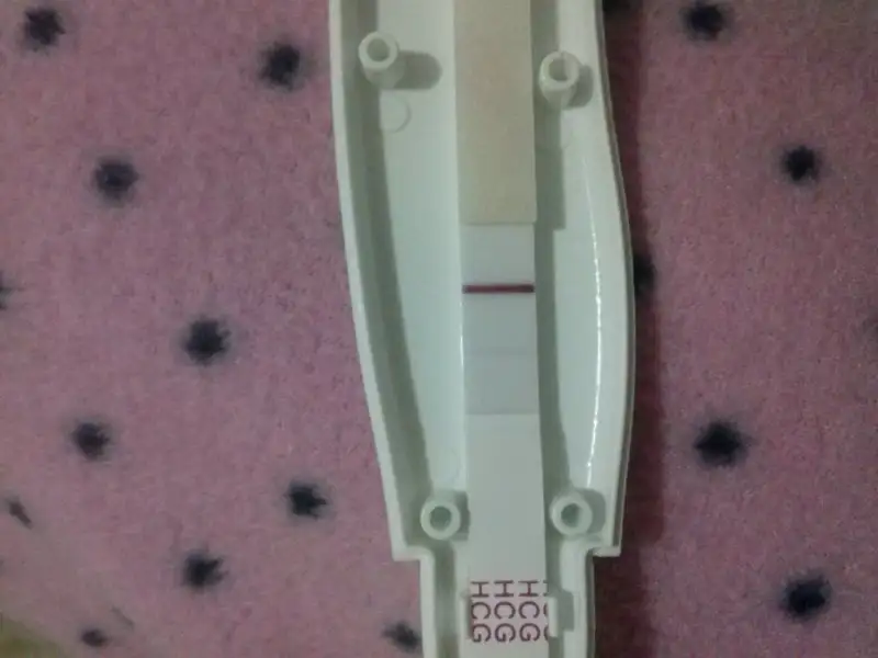 CAM00109.webp