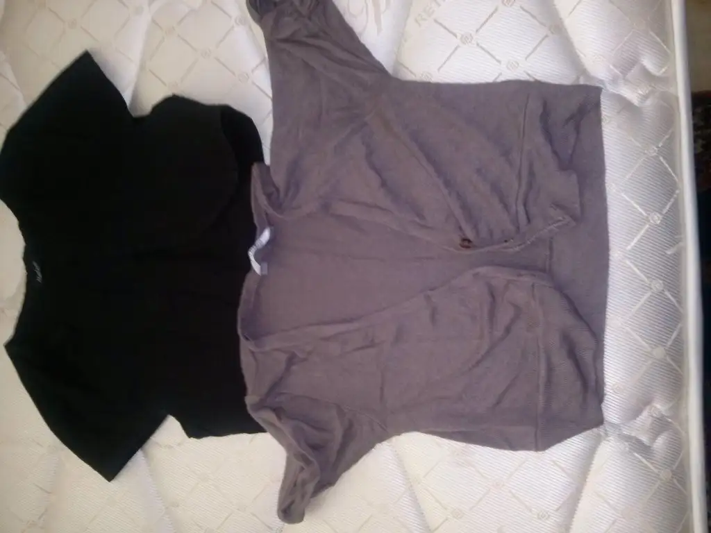 CAM00393.webp