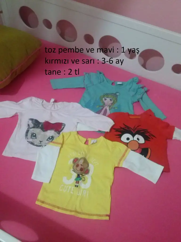 CAM00658.webp