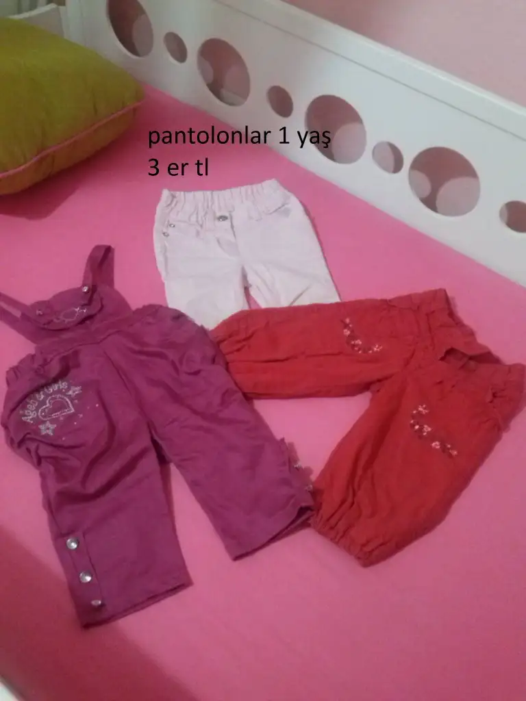 CAM00660.webp