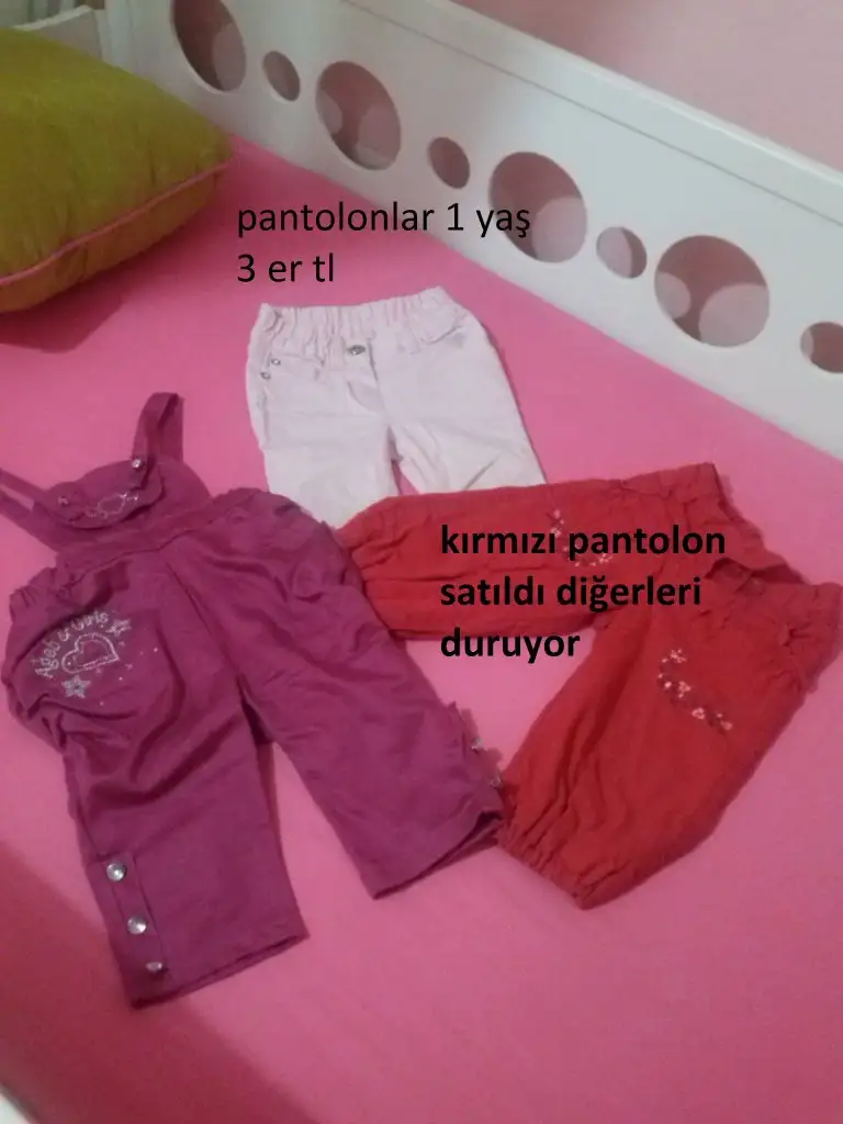 CAM00660.webp