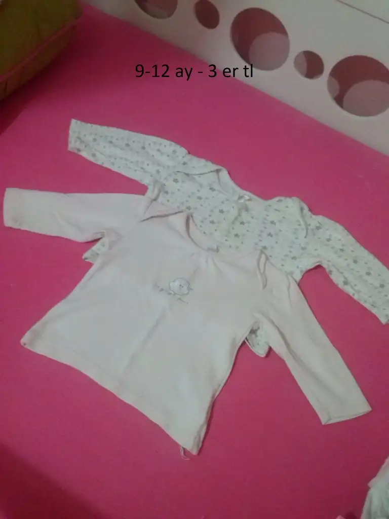 CAM00667.webp