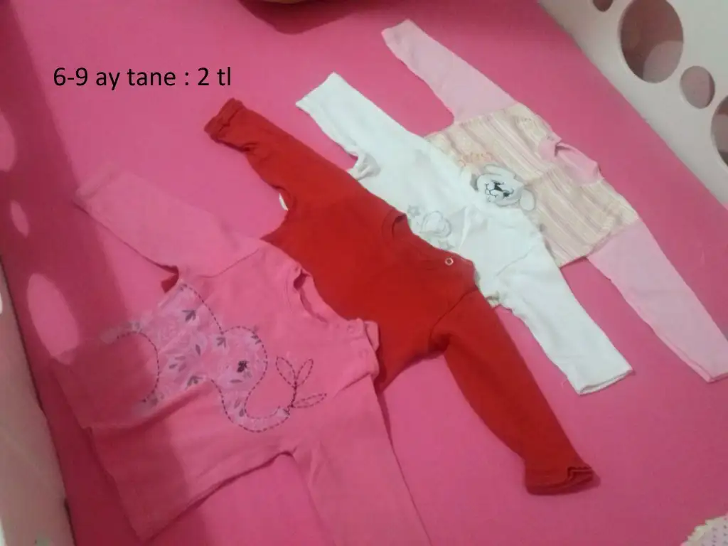 CAM00669.webp