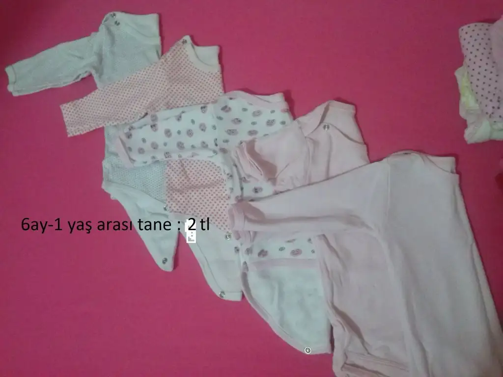 CAM00671.webp
