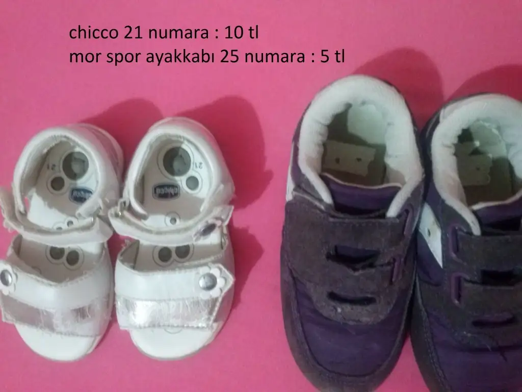 CAM00681.webp