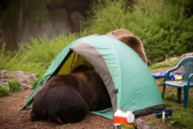camping-10.webp