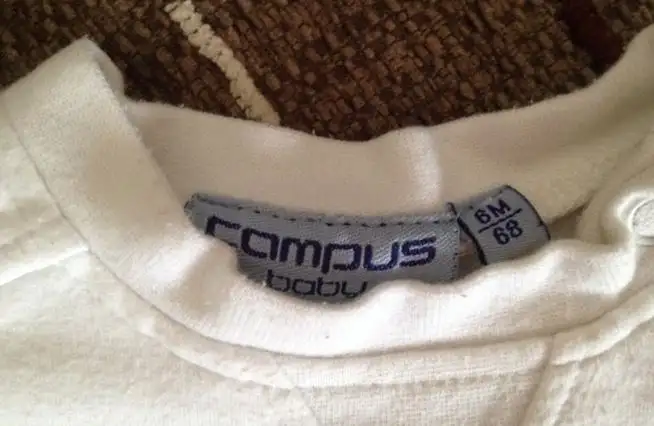 Capture15.webp