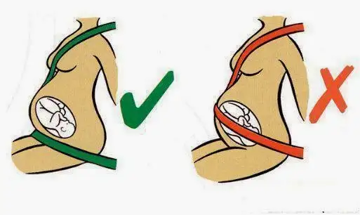 car-seat-belt.webp
