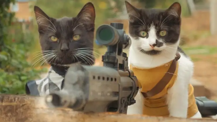 Cats-vs-Zombies-750x422.webp